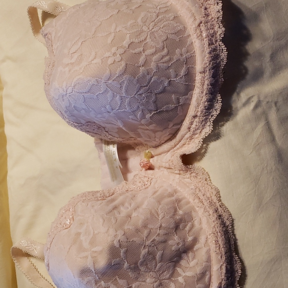 Secret Treasures Pale Pink Lace Bra 38D